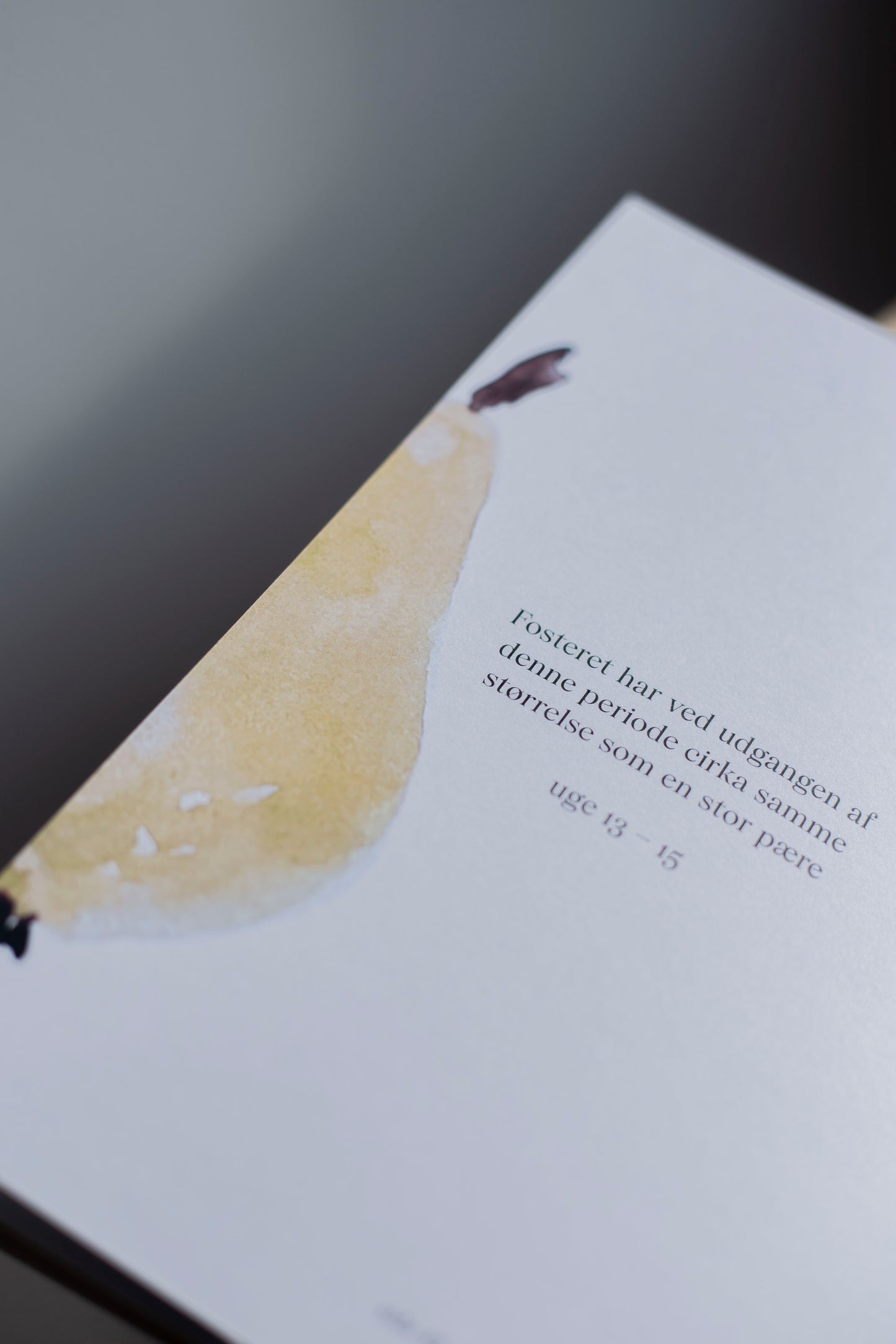 graviditetsjournal – fuld af liv – min graviditet
