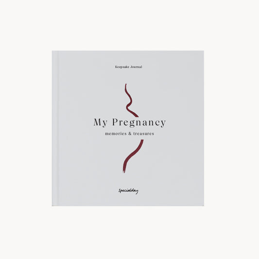my pregnancy  –  memories & treasures