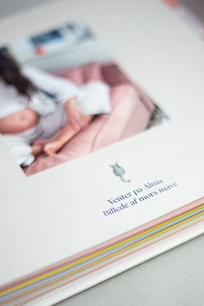 udfyld online – kapitel – indledning