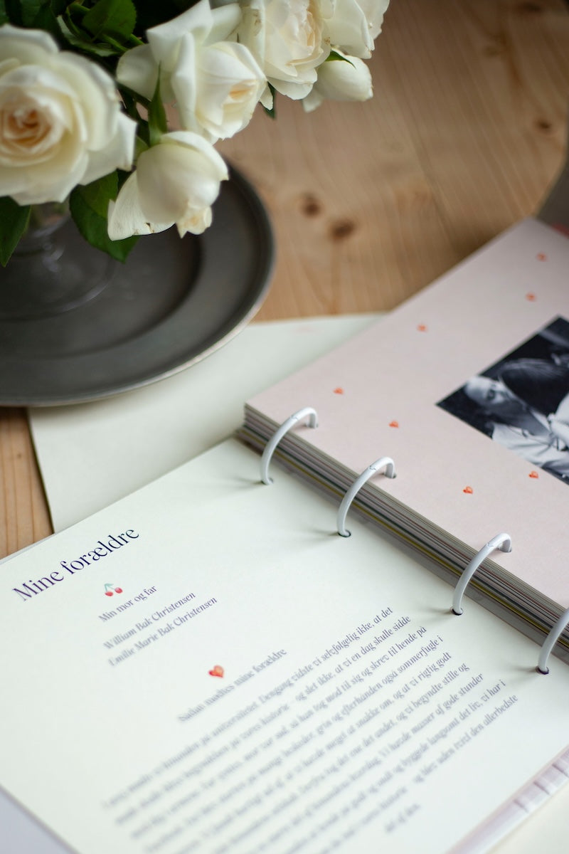 udfyld online – kapitel – indledning